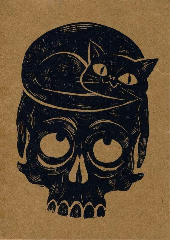 cat and skull