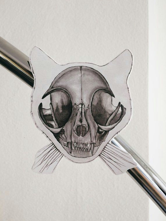cat skull skeleton fridge magnet anatomy refrigerator vinyl magnet cute funny creepy unique goth nerdy geek vet kitty halloween gift in 2019 animation