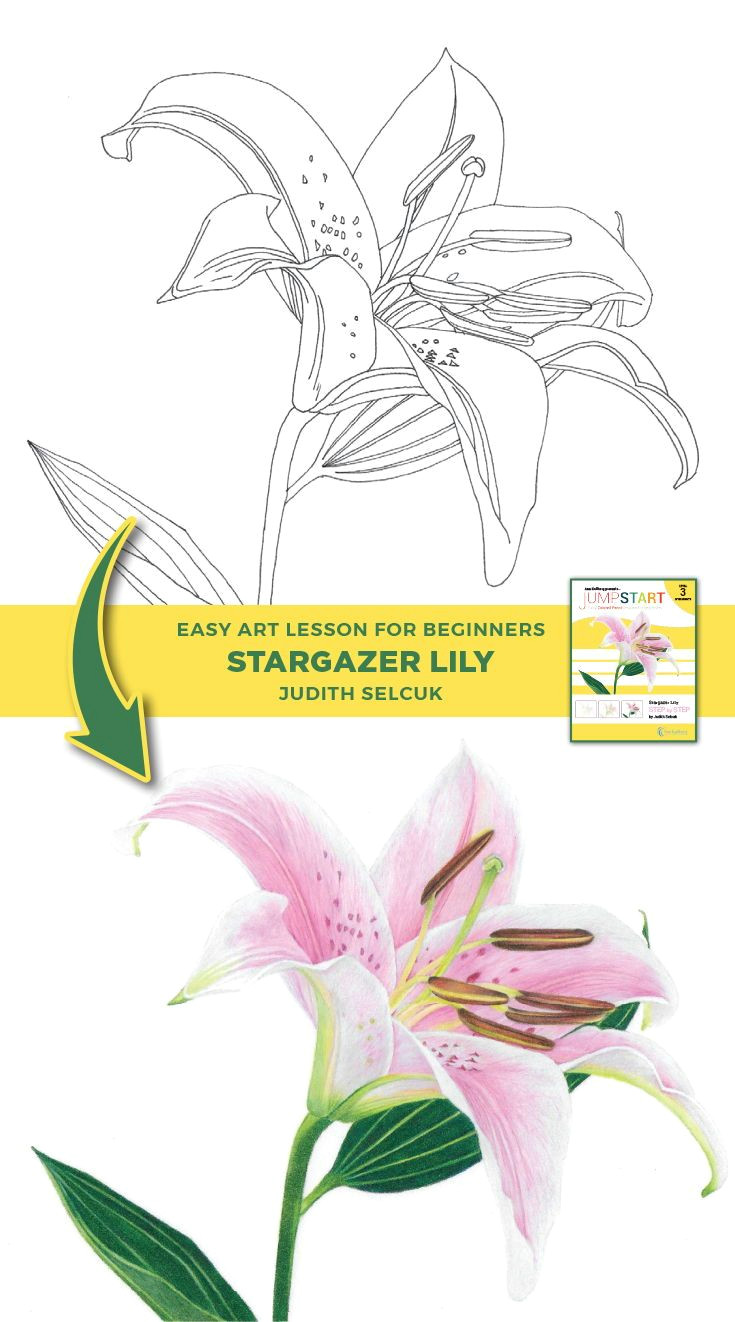 jumpstart level 3 stargazer lily in 2018 art to try pinterest drawings colored pencils and pencil drawing tutorials
