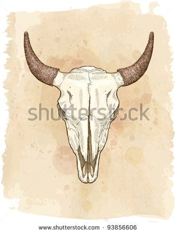cow skull vector sketch