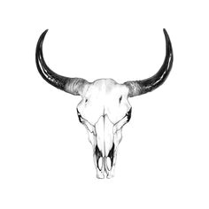 bull skull drawing by john gordon art colored pencil mehr