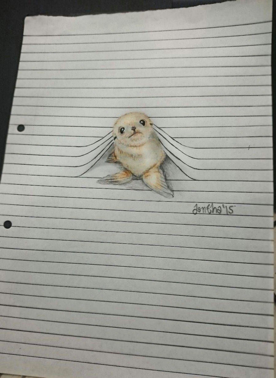 artiste iantha naicker cute drawings of animals cute animals to draw animal pencil