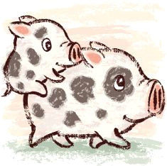 family of pigs by toru sanogawa panda pig drawing drawing ideas pig illustration