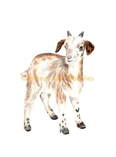 goat print watercolor baby goat farm animal print nursery animal sketches animal drawings copic