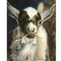 Drawing Cute Goat 170 Best Goat Drawings A Images In 2019 Goats Goat Art Animal