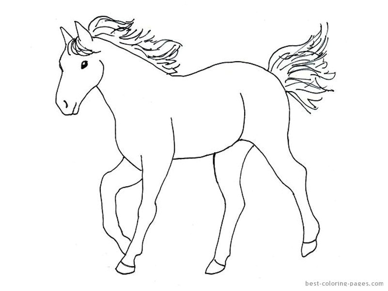 simple horse drawings for kids images pictures becuo