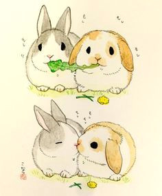 bunnies eat lettuce kiss cute animal drawings cute drawings rabbit illustration landscape
