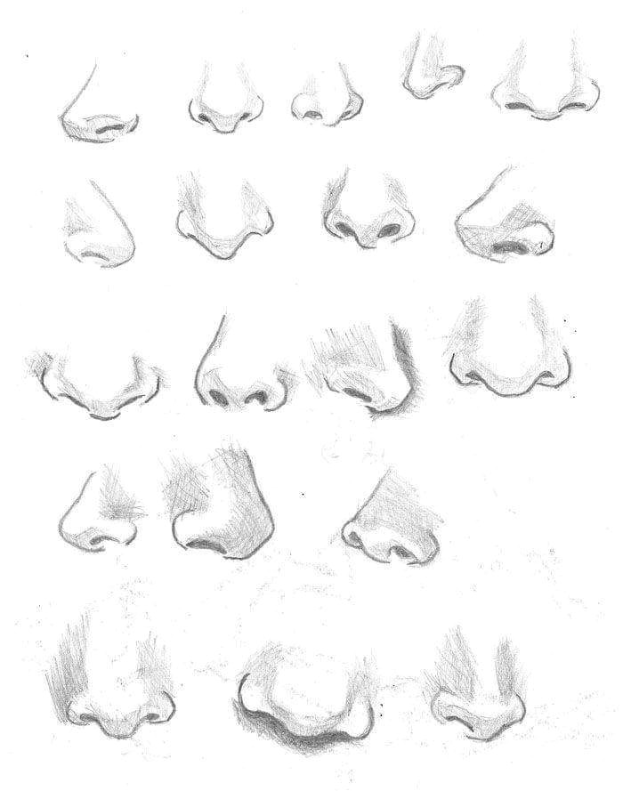 Drawing Cute Noses How to Draw Noses Arts Crafts and Diy Nose Drawing Drawings