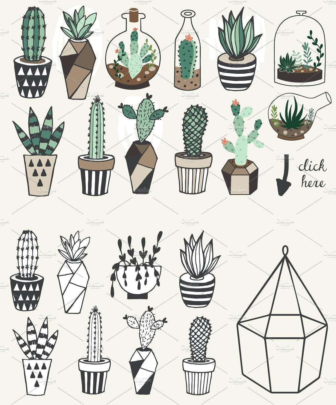 75 off succulents unlimited license by lokko studio on creativemarket succulent drawings