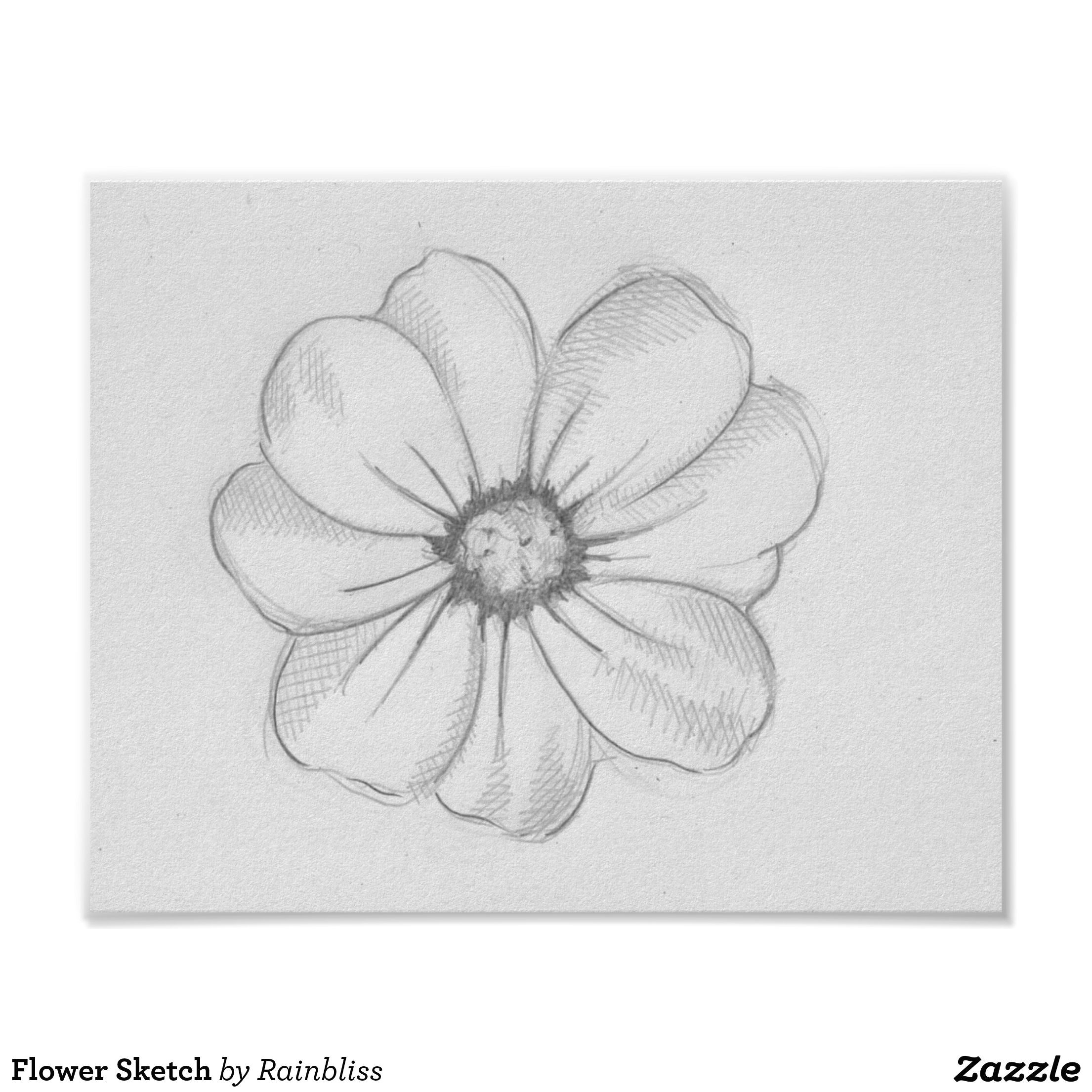 flower sketch poster