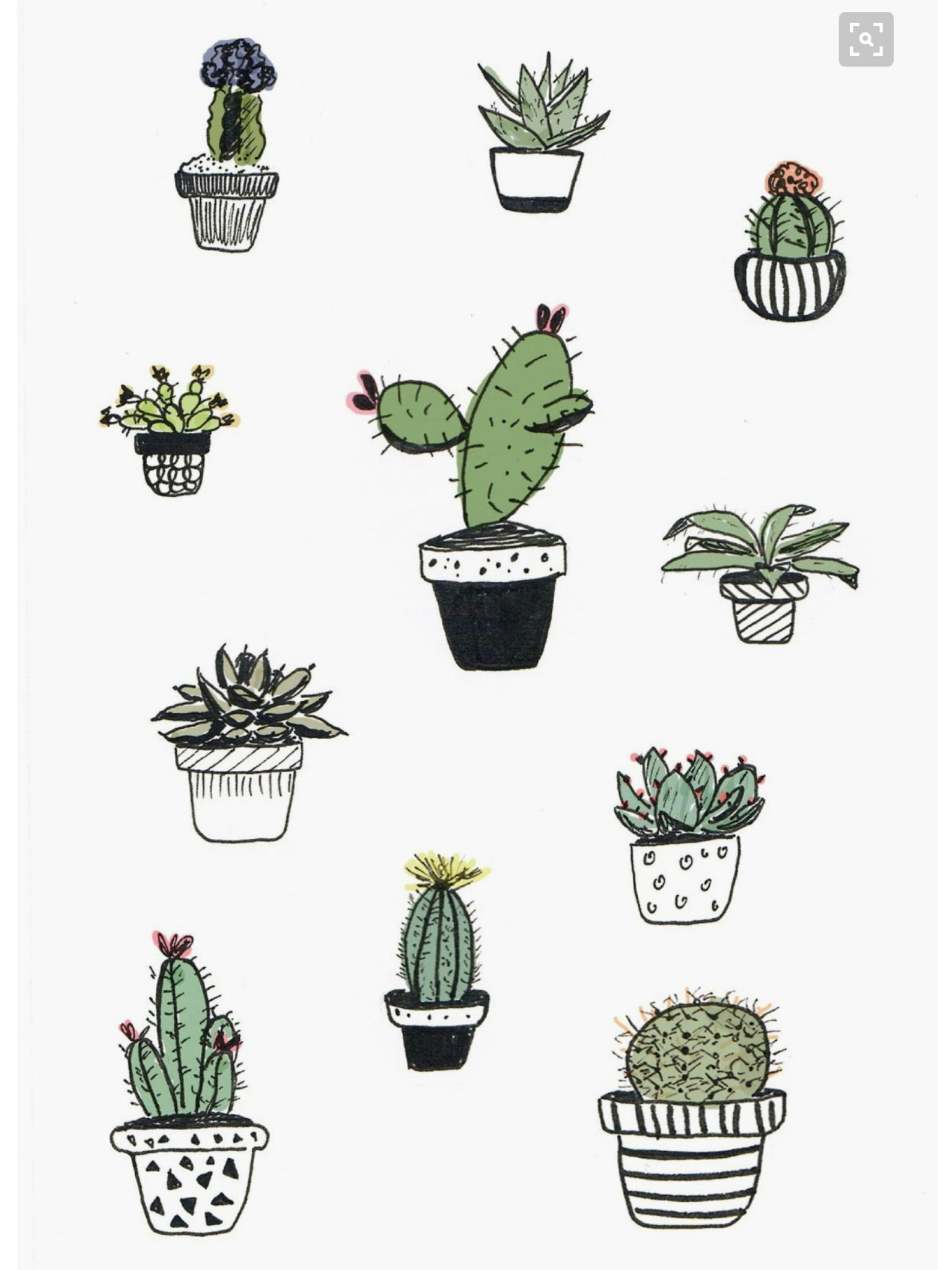 cute iphone wallpaper tumblr iphone wallpaper plants cute wallpapers cactus drawing plant