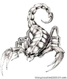 scorpion tattoo pictures chicano tattoos cool tattoos picture tattoos new tattoos flash