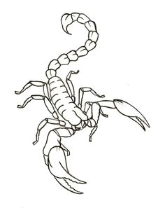 scorpion tattoo by metacharis on deviantart new tattoos future tattoos body art tattoos