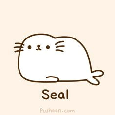 pusheen the seal can i have your autograph funny seals