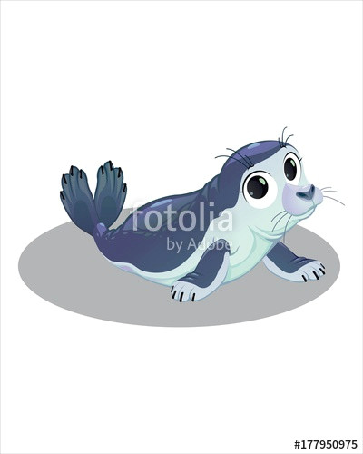 cute little seal vector drawing isolated white background