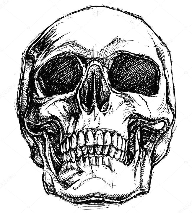 desenhando com lapis desenho para tatoo caveiras ideas in 2019 drawings skull art art drawings