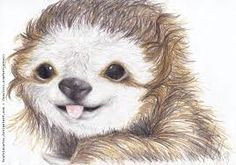 cute sloth drawings google search sloth drawing book drawing cute sloth pictures