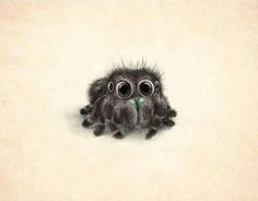 this is so cute and dangerous spider drawing spider art cute art