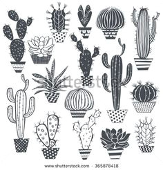 cactus and succulents isolated on white background vector hand drawn set illustration