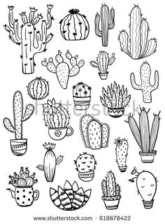 set of isolated black sketch cactus and succulent icons houseplant and wild cactus collection