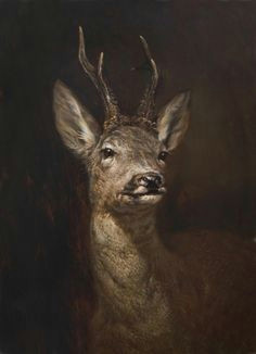 deer roe deer wildlife art wildlife paintings animal paintings deer paintings