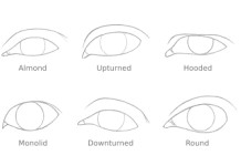 how to draw 6 different eye shapes