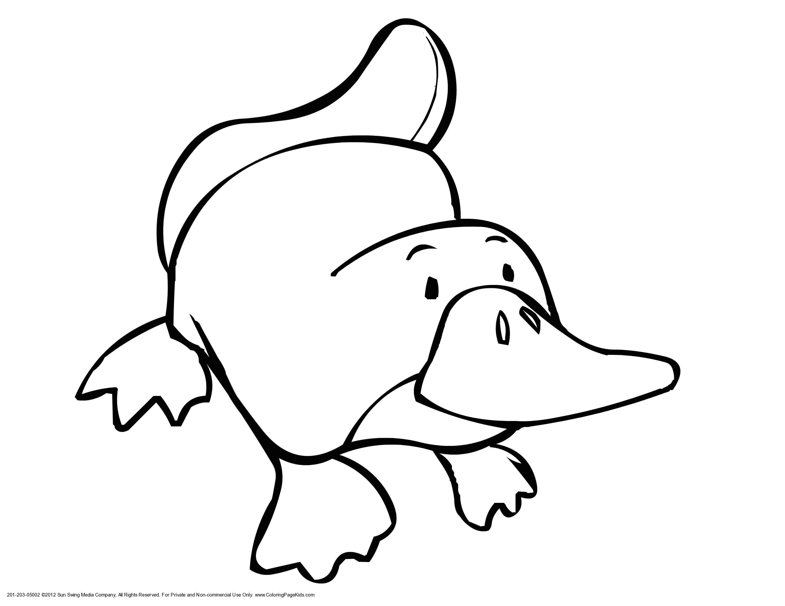 plants vs zombies ausmalbilder neu coloring pages animals preschool i pinimg originals 21 3d 0d luxus