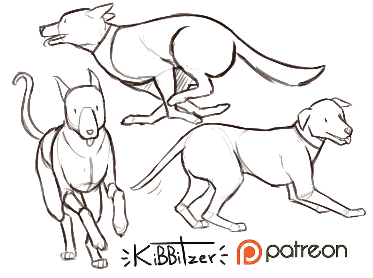 dog anatomy drawing dogs reference sheet preview drawing pinterest