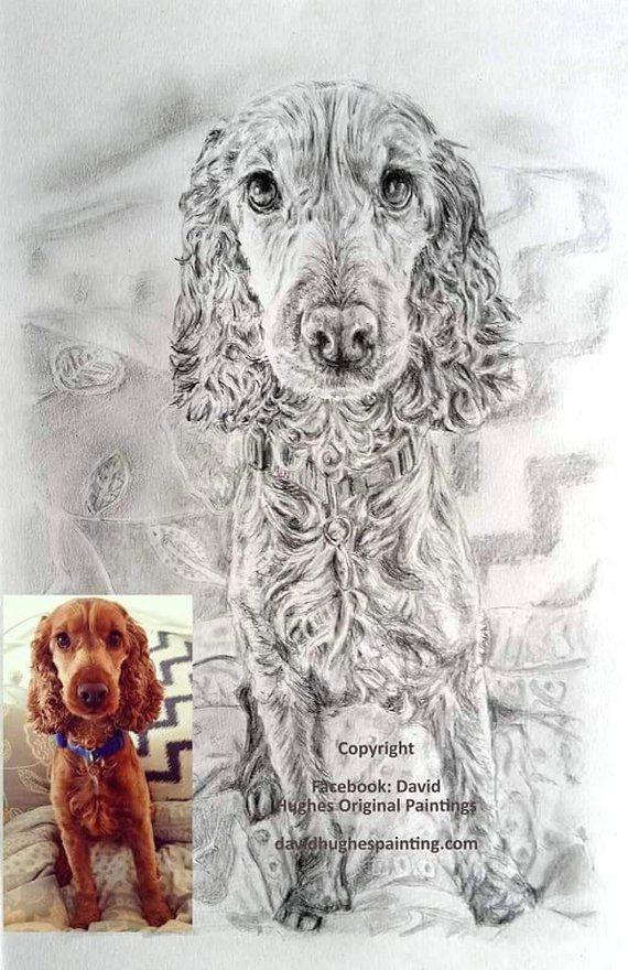 custom dog drawing dog portraits dog drawings dog pencil drawing hand drawn animal portrait animal drawing pet gifts drawing