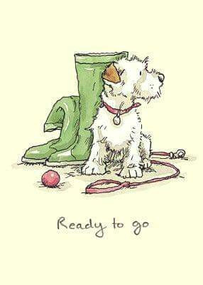 ready to go by anita jeram tap the pin for the most adorable pawtastic fur baby apparel you ll love the dog clothes and cat clothes