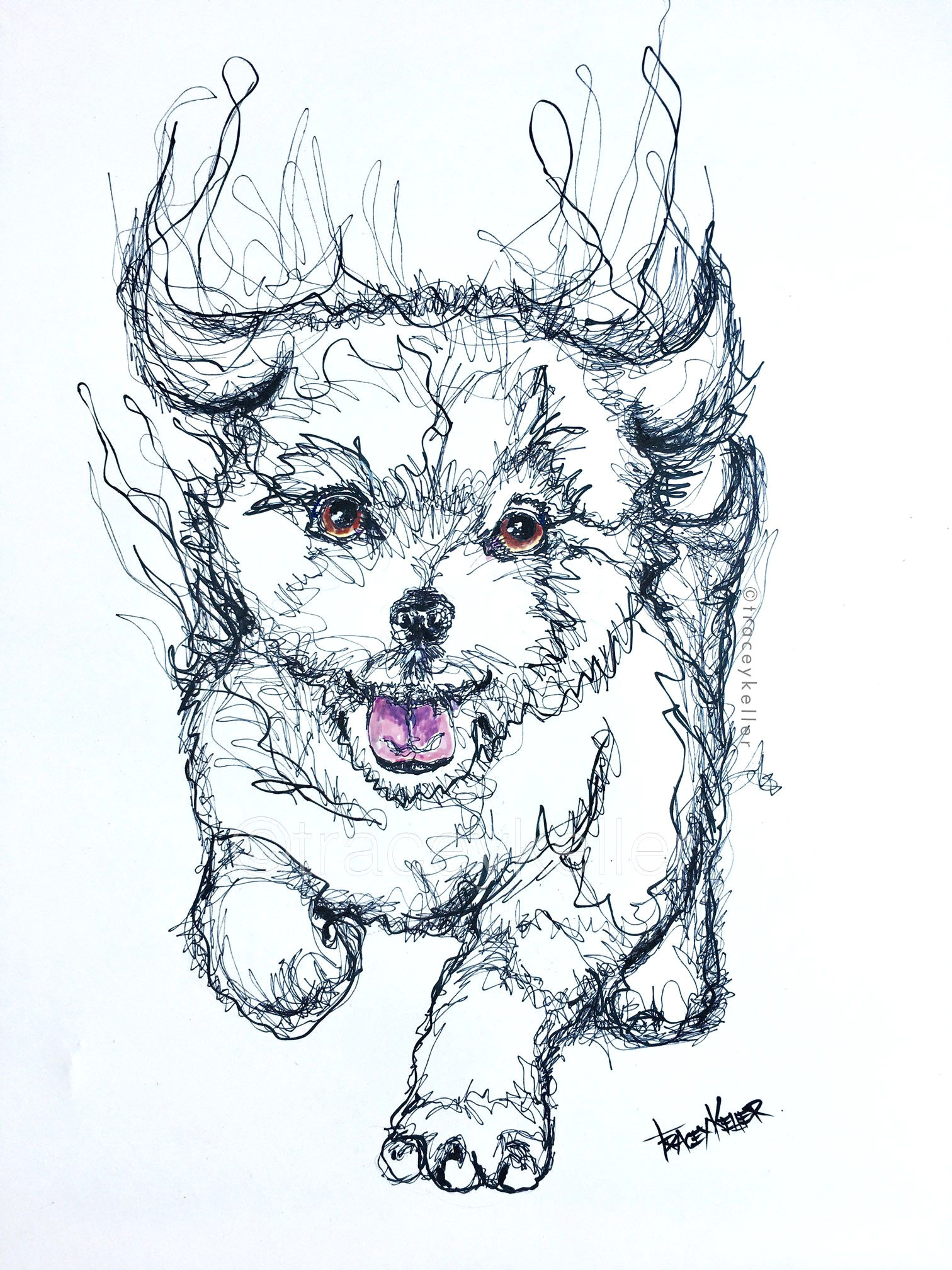 fluffy puppy tracey keller sketch doodle
