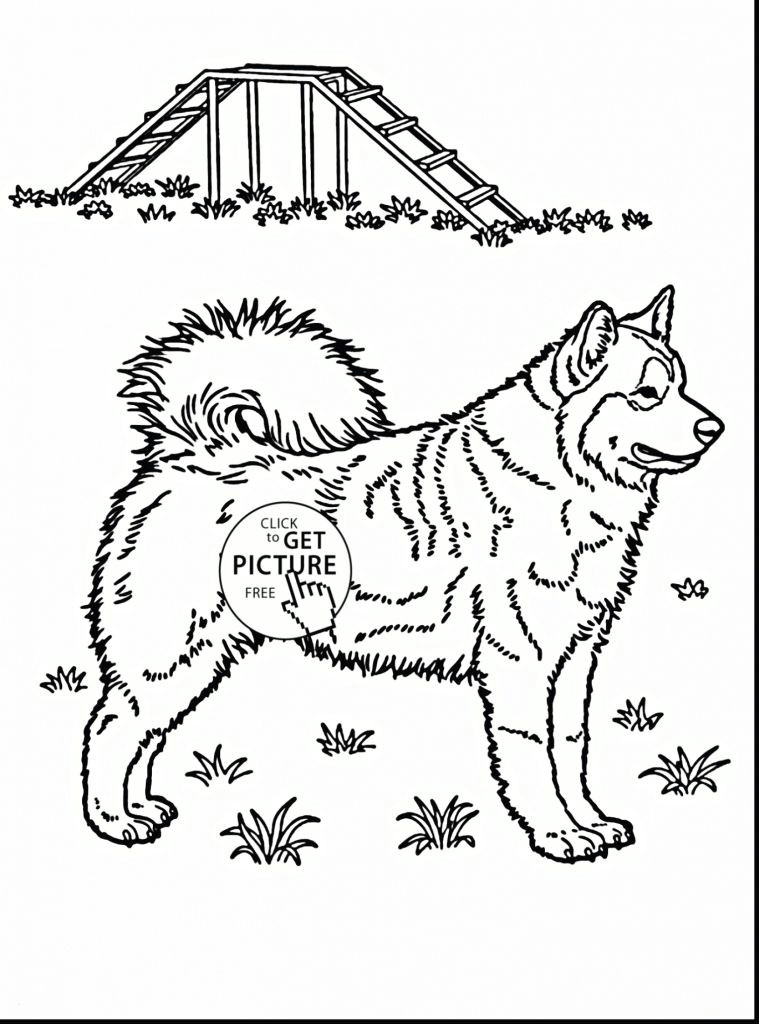 beautiful coloring pages fresh https i pinimg 736x 0d 98 6f for dog pet coloring pages