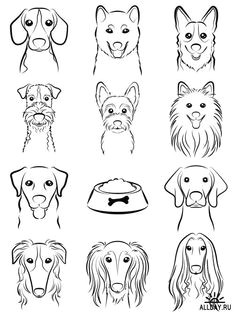 collection of dogs dog line drawing dog drawing simple cat and dog drawing