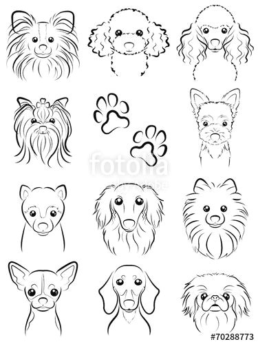 Drawing Dog Hair Fotolia Comi I E I I I E E I Dog Line Drawing by Keko Ka E
