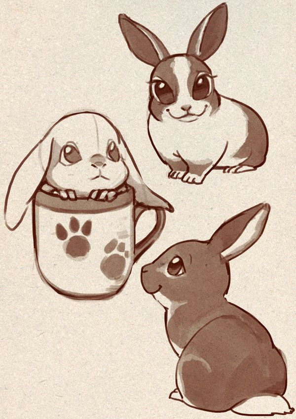 i like a dog which have short legs rabbit drawing short legs bunny