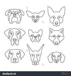 creative portrait collection of different dog breeds including german sheepherd labrador doberman husky dog faces modern illustration of veterinarian