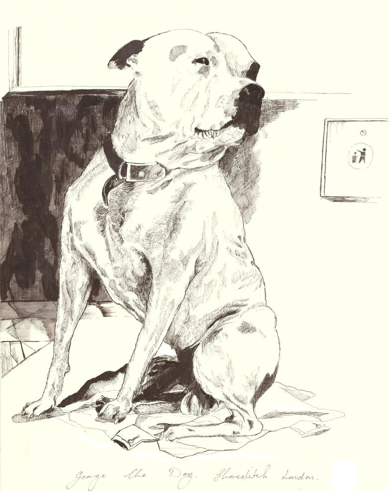 homeless man who sold sketches of dog now has own art show credits his guardian angel pup