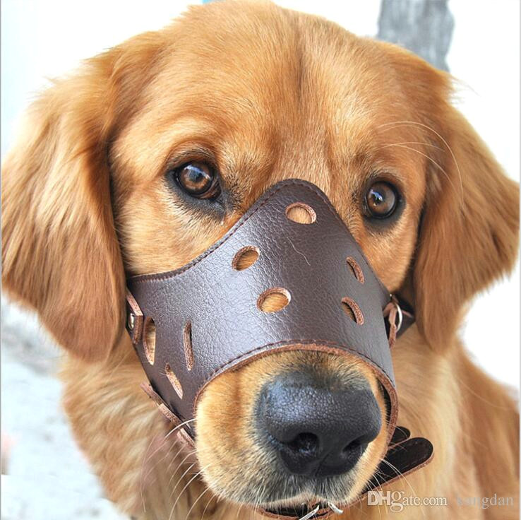 cheap small dog muzzles best anti bite dog muzzle