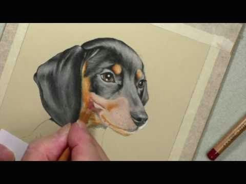 drawing a dachshund mouth muzzle youtube