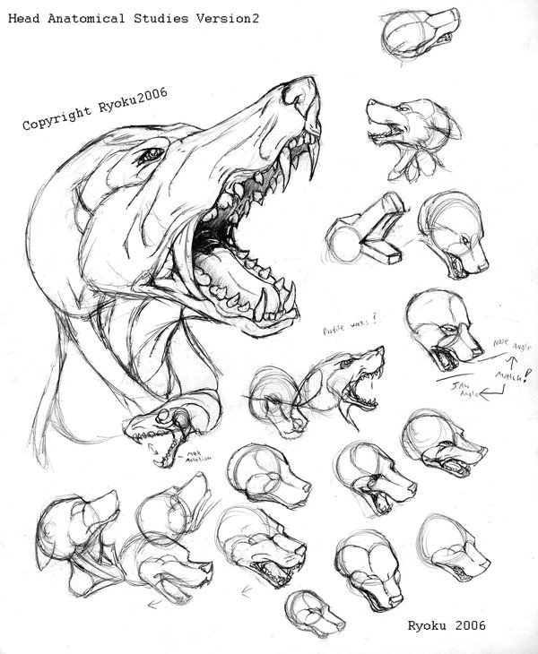 just another page of me trying to learn more about the actual physics of muzzles and the like i ve actually been able to break down my style and start a