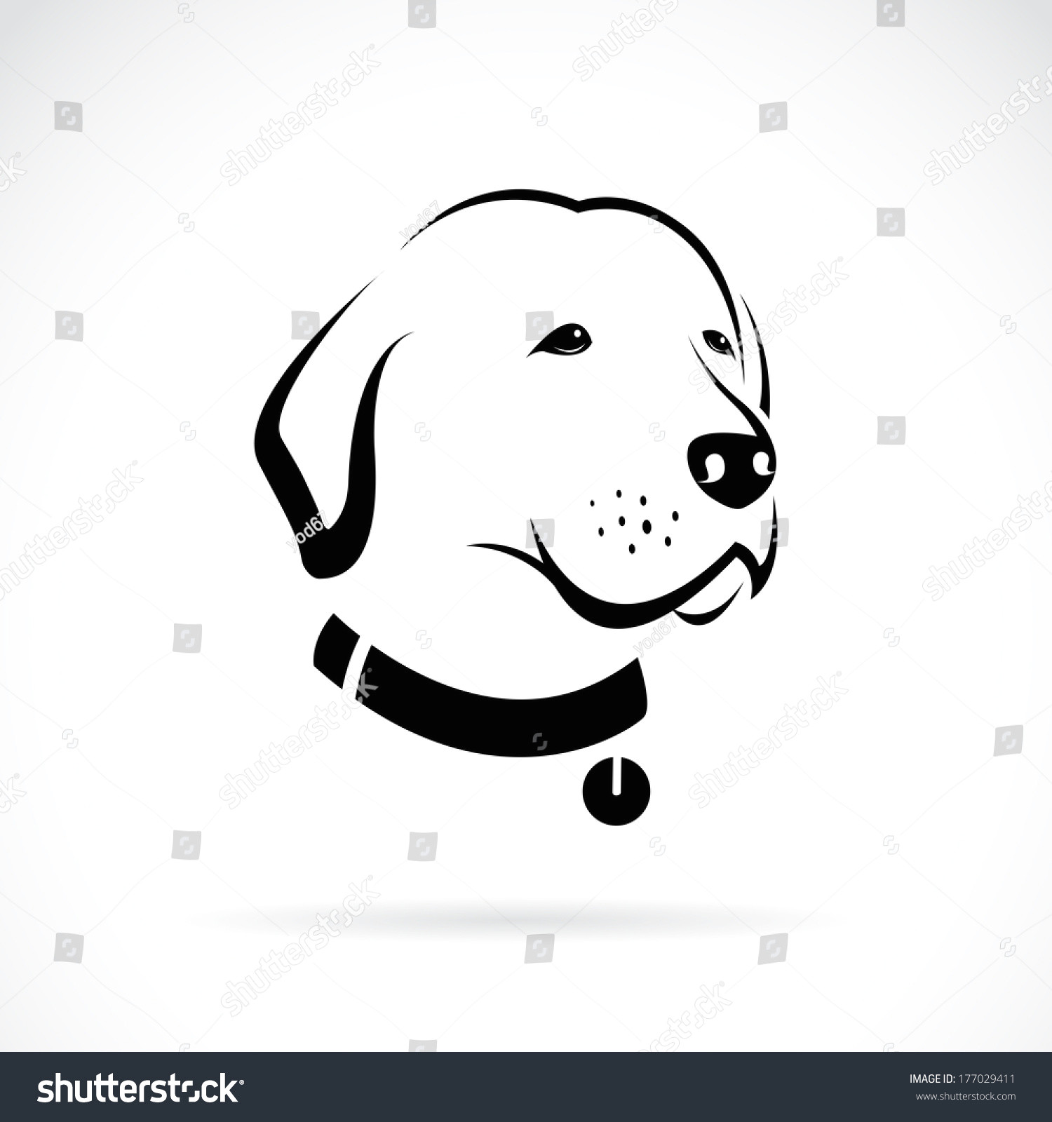 vector image of an labrador dog s head on white background