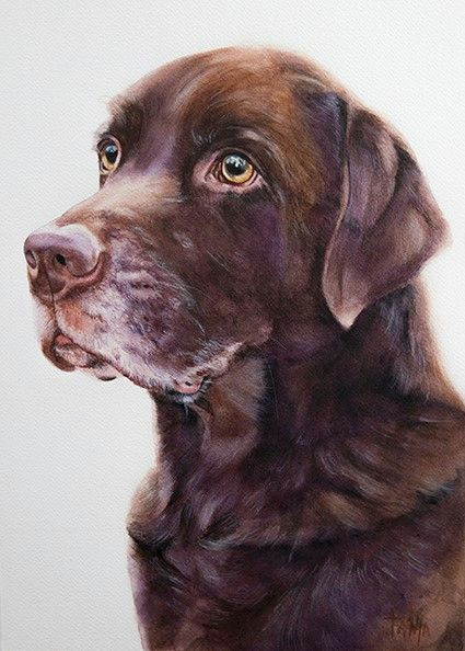 labrador boy watercolor artist tanja kooymans watercolor paintings of animals dog paintings labrador