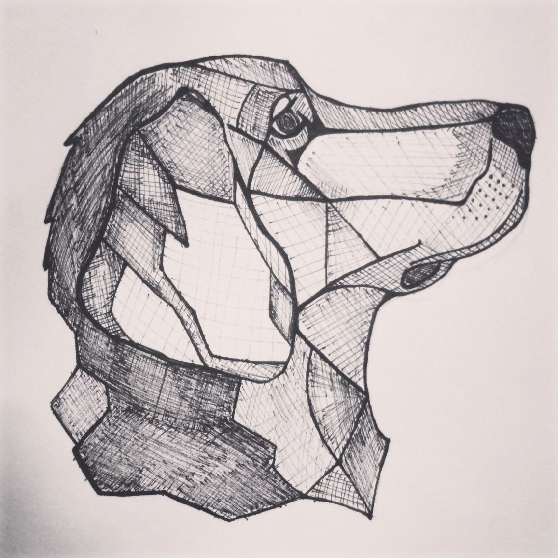 inspired by a tattoo i saw i decided to try drawing my golden retriever in a similar style
