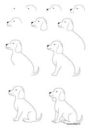 image result for how to draw a dog step by step for kids easy