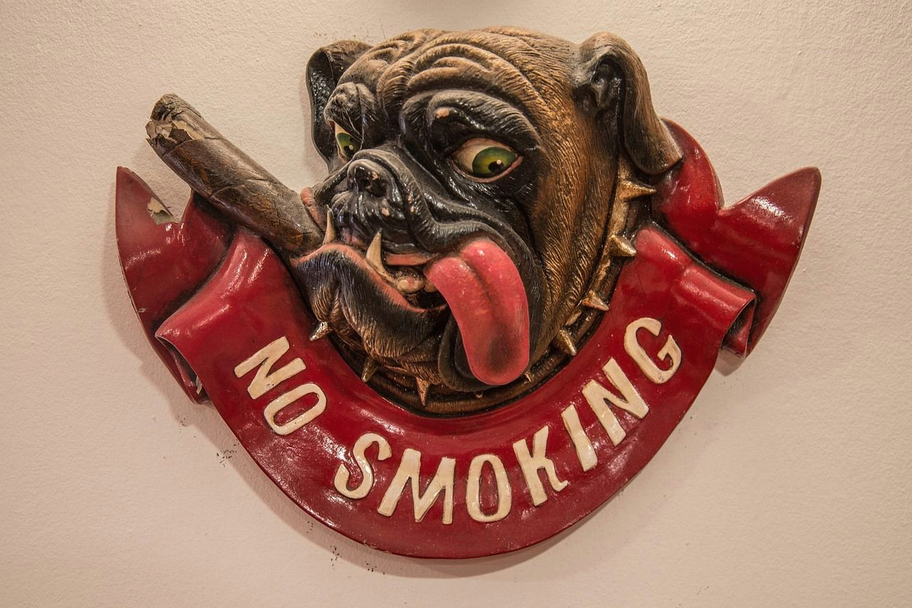 no smoking bulldog sign cigar funny drawing dog