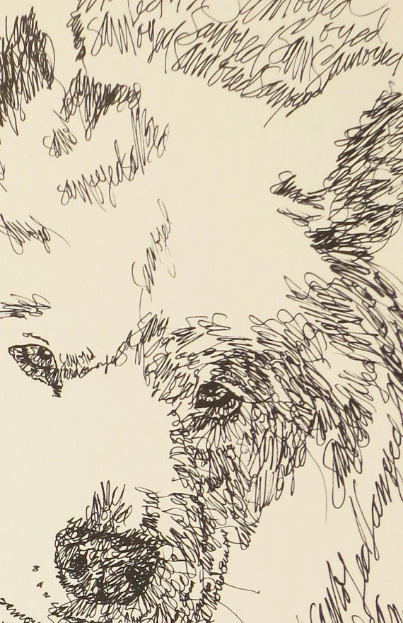 samoyed artist kline draws his dog art using only words signed 11x17 lithograph 81 500 artist w