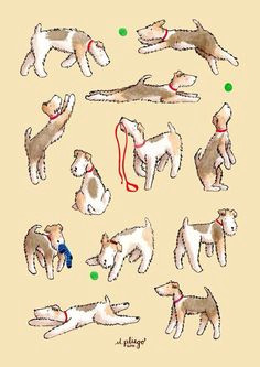 foxies having fun art print by m pliego fox terriers wirehaired fox terrier