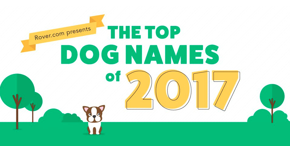 top 100 male and female dog names of 2017