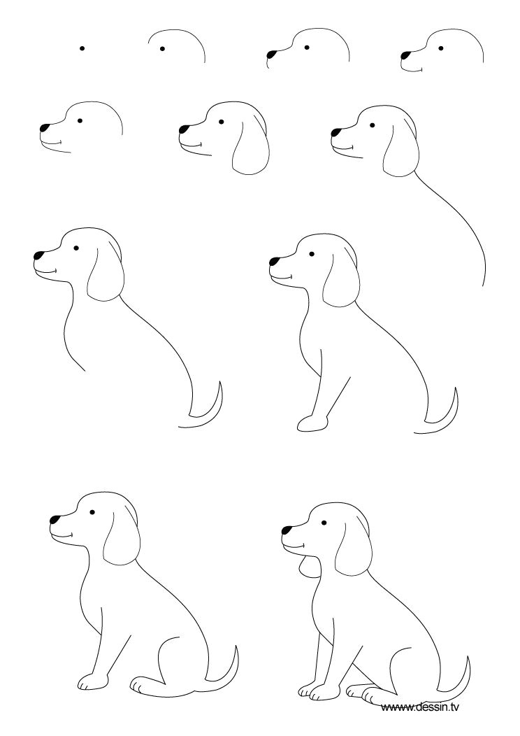 Drawing Dog with Numbers Drawing Animals Step by Step Children Coloring Pages Printable