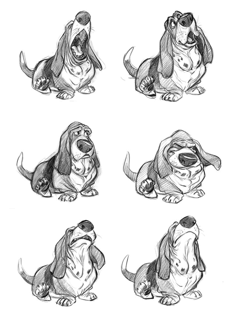 dog anatomy drawing pin by alina grechishnikova on a a a a a a a a a a a a a